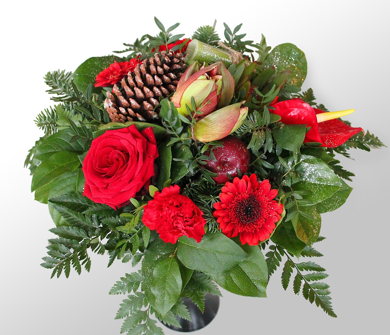 An image of Christmas flowers