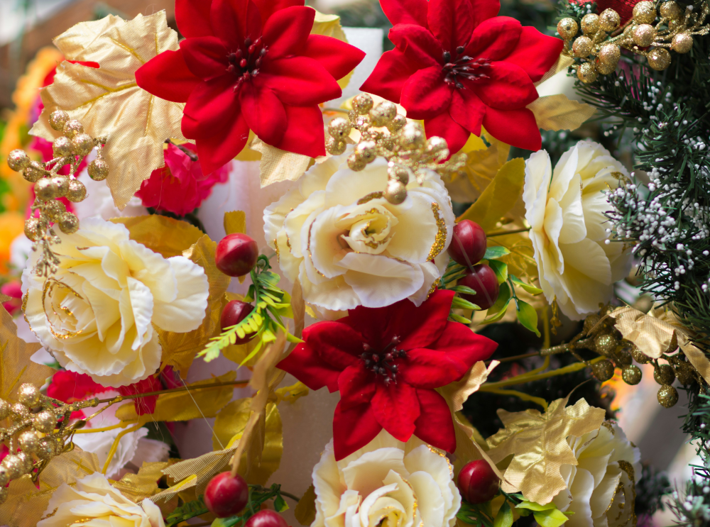 Picture of Christmas flowers