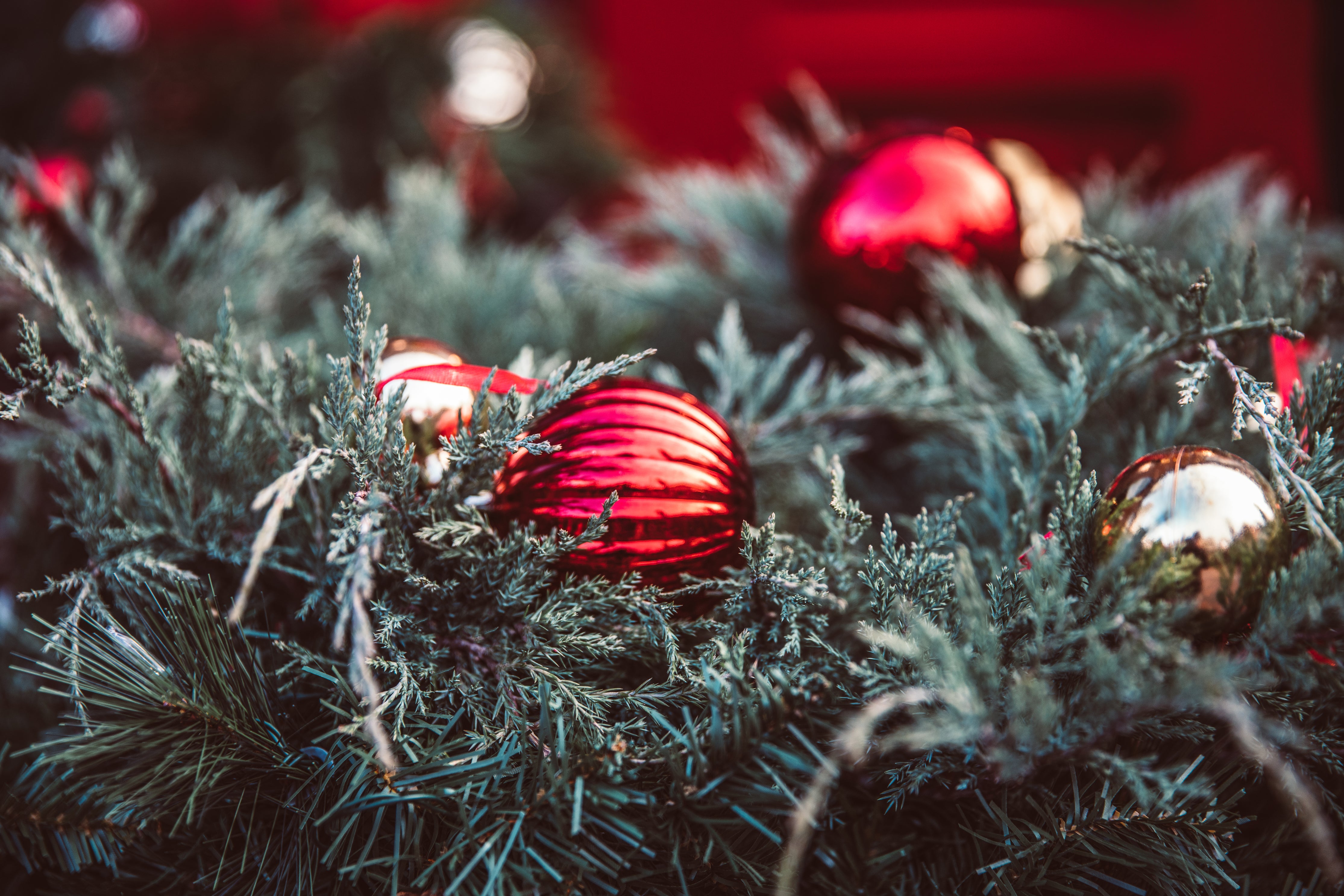 Picture of a Christmas garland